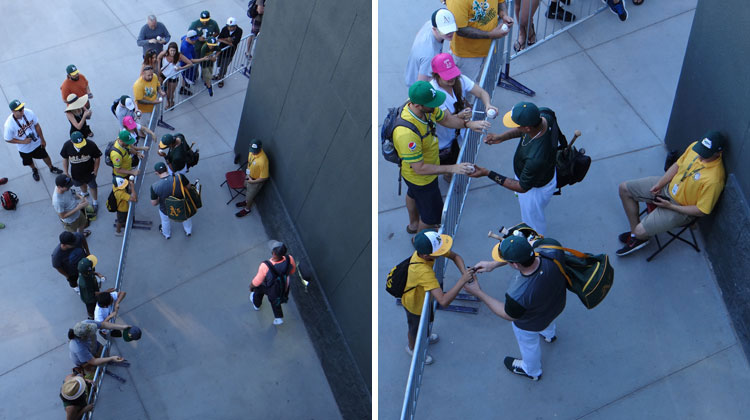 A's spring training autographs, near clubhouse door