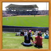 29 Mets spring training ballpark photos