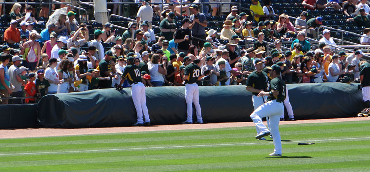 A's spring training autographs, at tarp