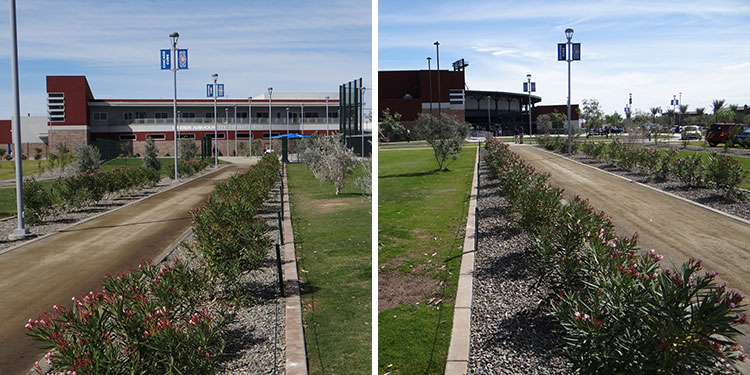 Cubs autographs, path to clubhouse and stadium