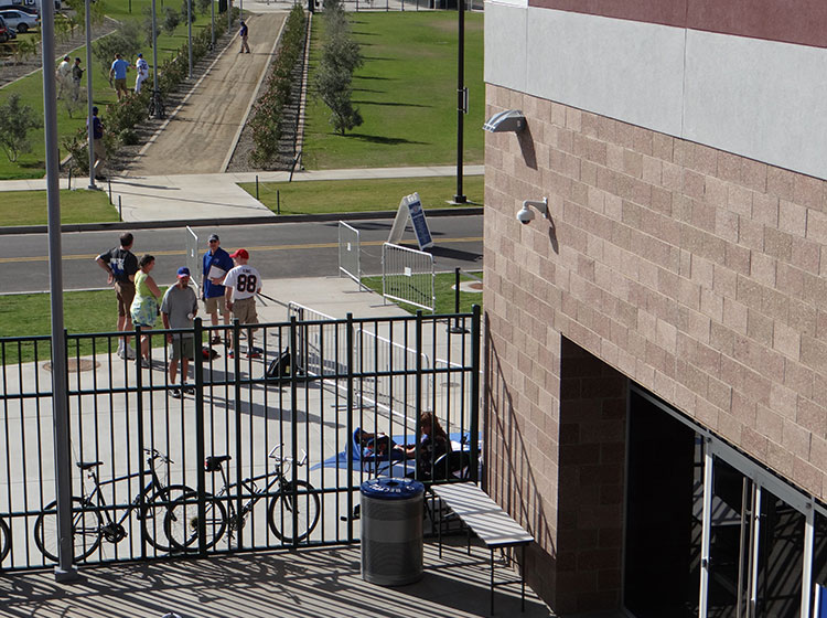 Cubs autographs, path between stadium and clubhouse